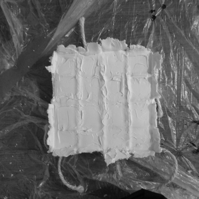 what stands. what fades. what moves without a name. – and stays